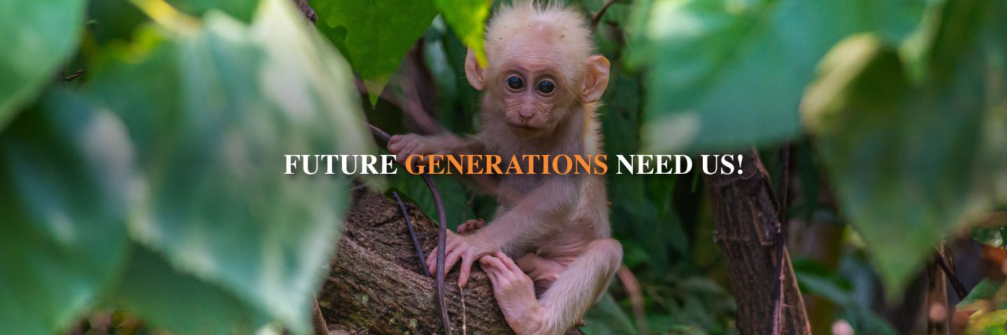 International Rights of Nature Tribunal banner