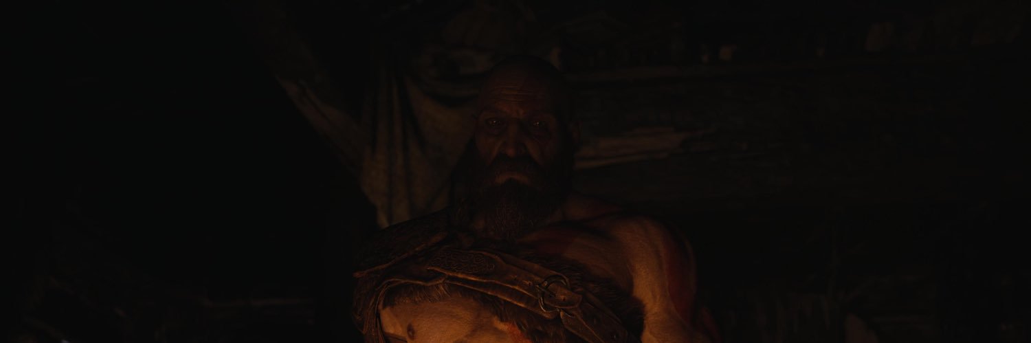 Midas Turtle banner