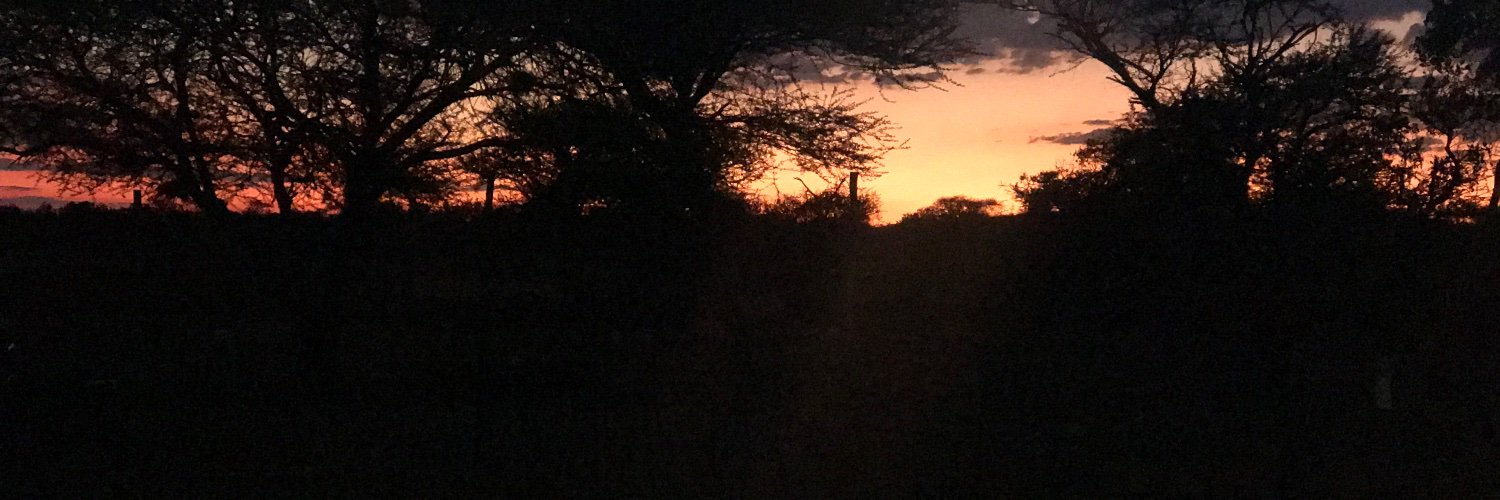 Nerina Augustine banner