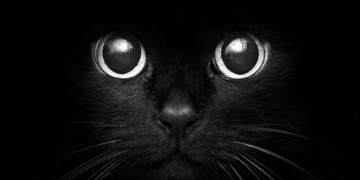 iymak's profile banner image