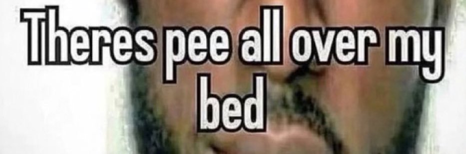🏺🌻 banner