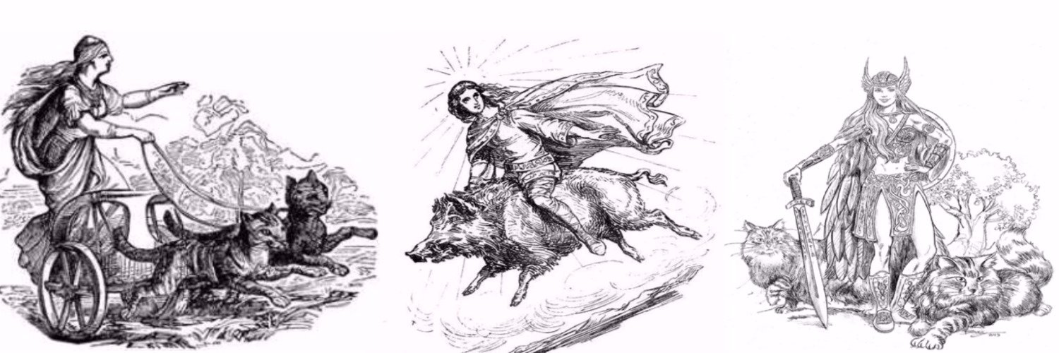 elle 🌻🌞 banner