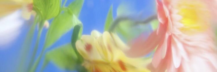 j🅿️eg banner
