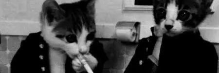 notorious moron banner