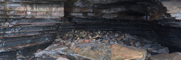 AmandaHarrisSyd Profile Banner