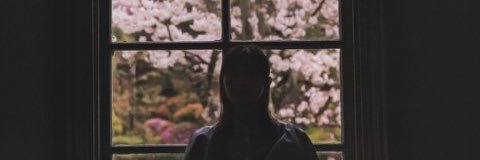 キムラ / Kimura's banner