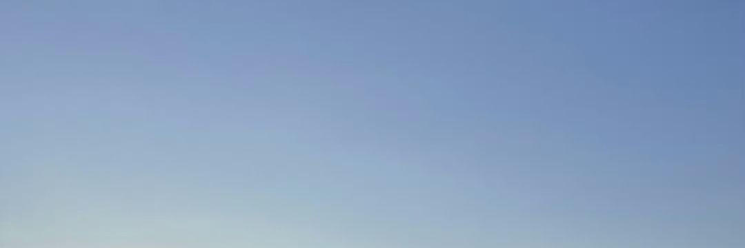 vineavis's profile banner image