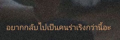 bear banner