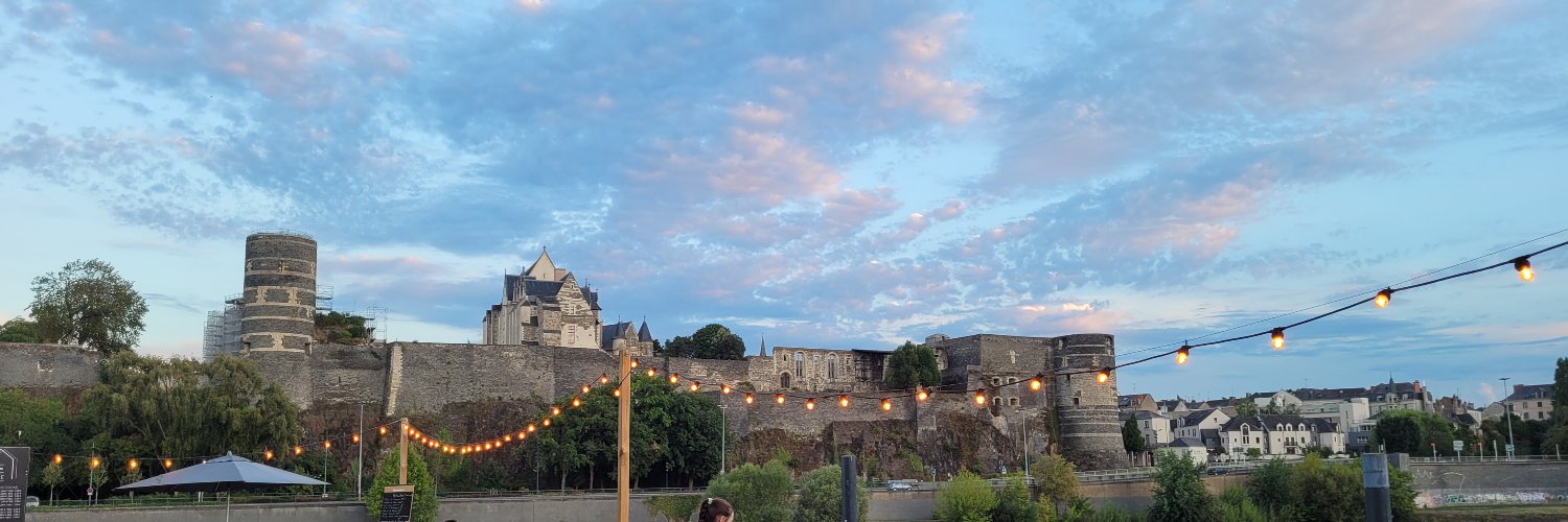 Delphine Bonté Foviaux  banner