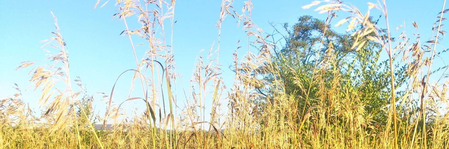 Sergio 🇺🇦 banner