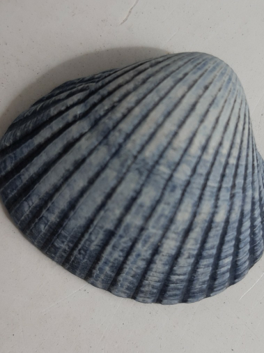 Tom van Slooten banner