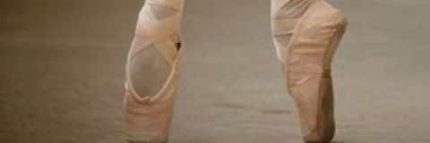 ❤️ 𝙍𝙤𝙗𝙮 ❤️'s banner