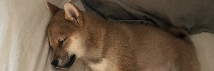 _unyul_'s profile banner image
