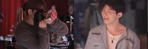 담비 banner