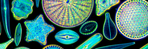 RevPLane Profile Banner