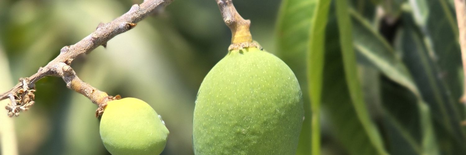 bhushandroid's profile banner image