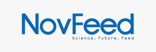 Novfeed_tz Profile Banner