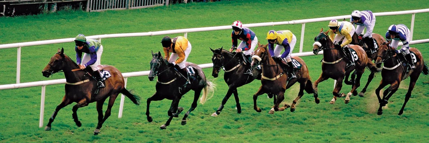 Mike InPlay Horse Racing Trader banner