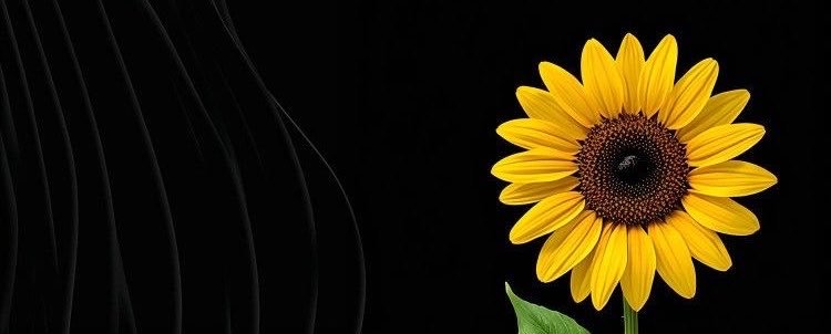 chao5tud3's profile banner image