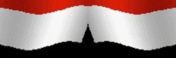 afi55's profile banner image