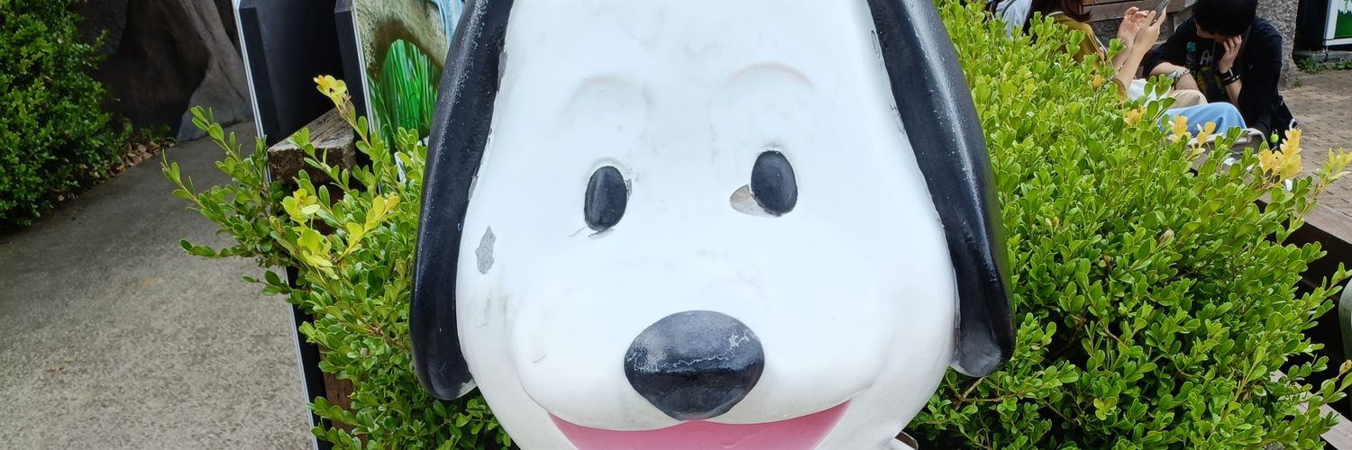 coockie0412's profile banner image