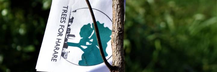 Trees For Harare banner
