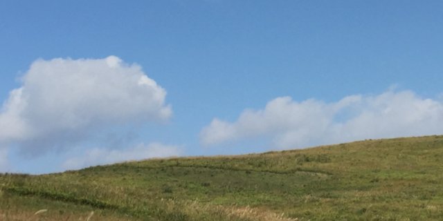 citrus_s_'s profile banner image