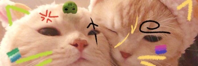 1Daniel_13's profile banner image