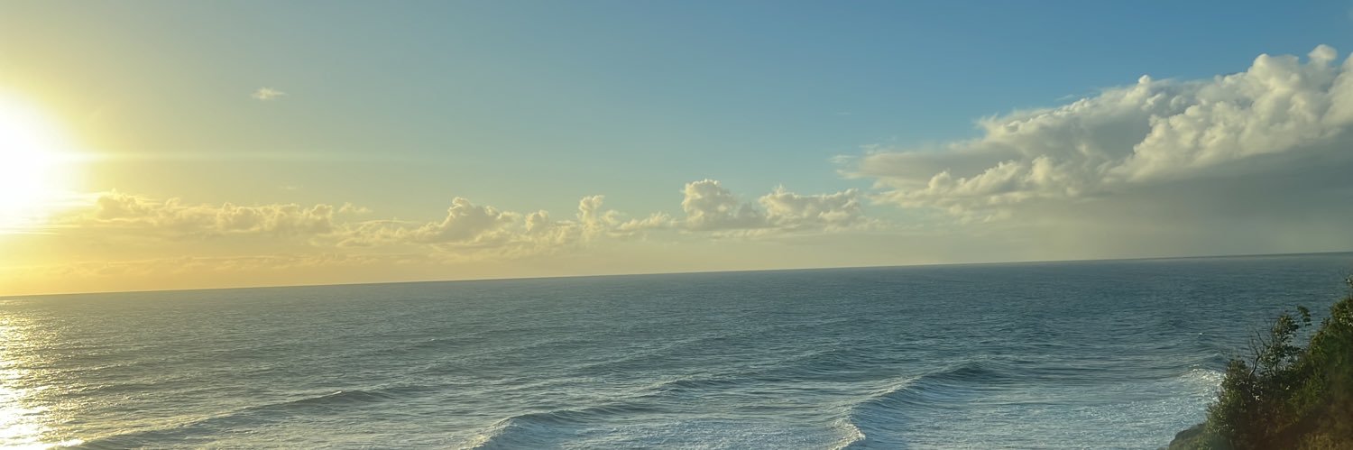calgino22's profile banner image
