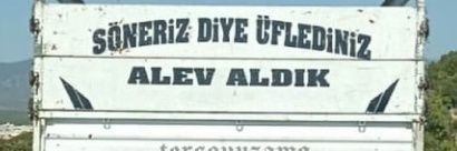 havva banner