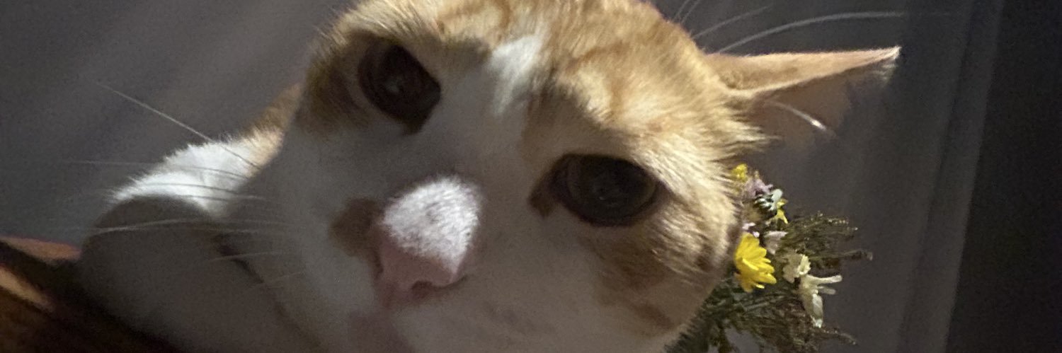 Btrix banner