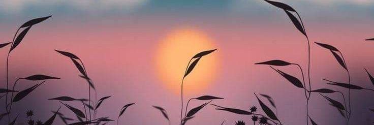 حَائِرٌ🇱🇾 banner