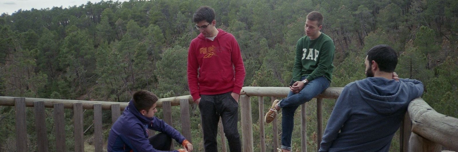 PetPiloto's profile banner image