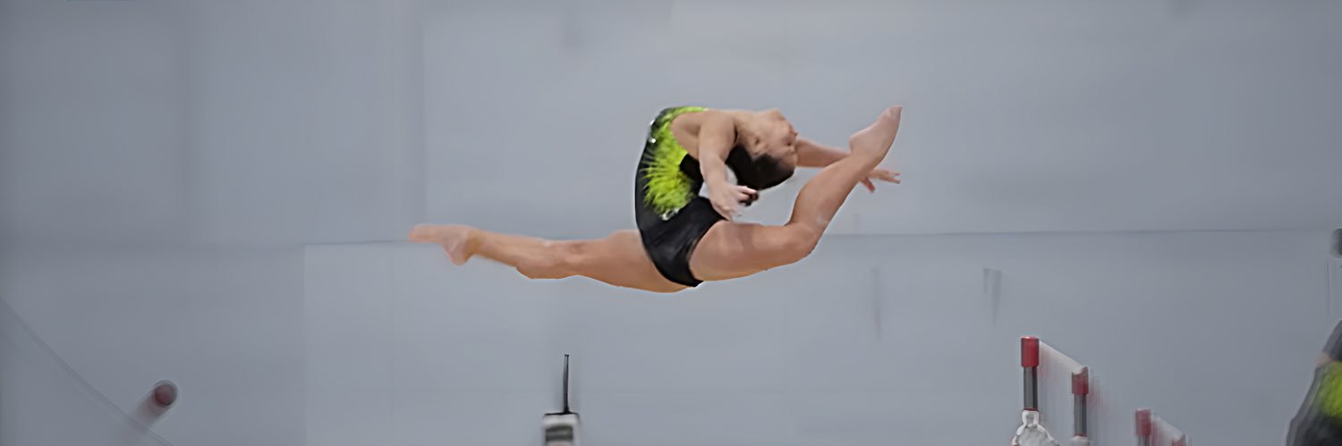 Gymnastea banner