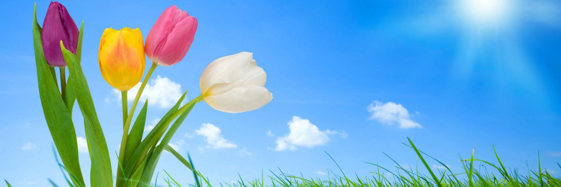 vvbsingh's profile banner image