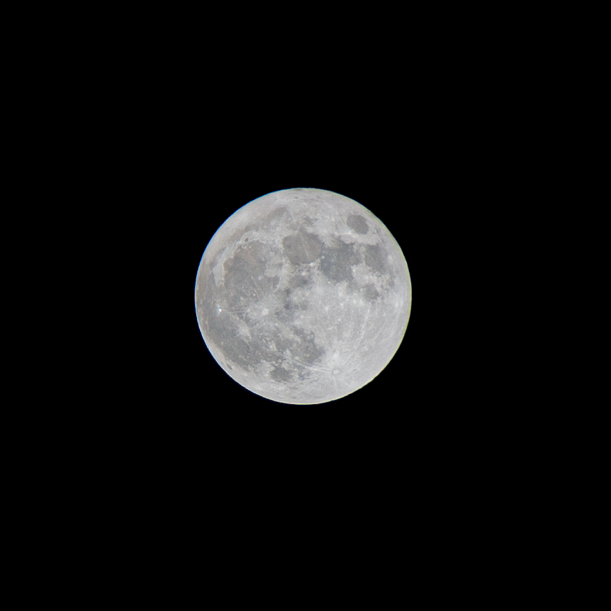 Blue Moon 🦅 banner