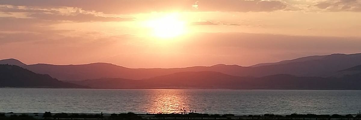 okuraltan's profile banner image