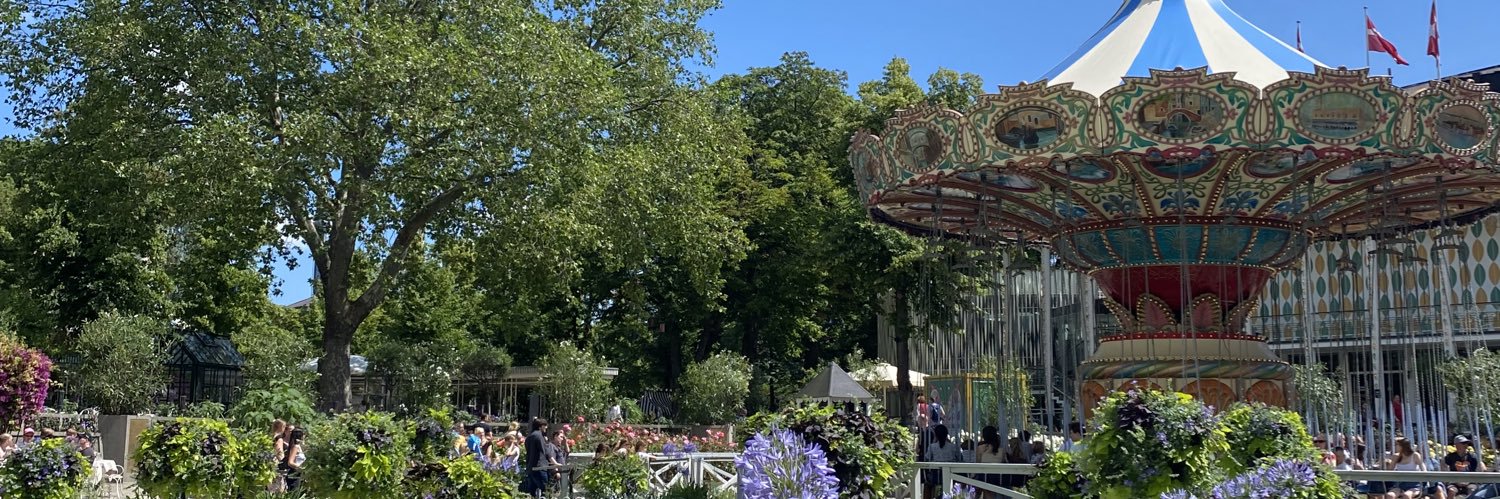 Heiðdís😎 banner