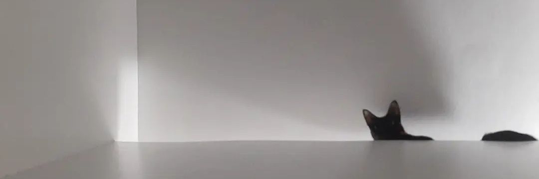 forlorngamba's profile banner image