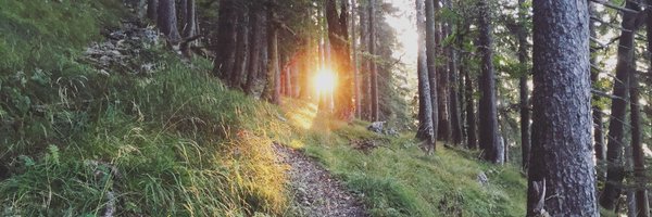 RedCherryPepper Profile Banner