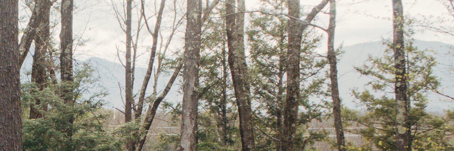 yingninggui's profile banner image