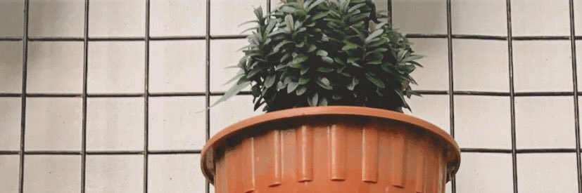 Monthyaa's profile banner image