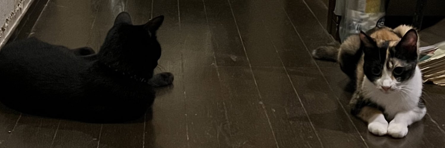 tom_cat_sdc's profile banner image