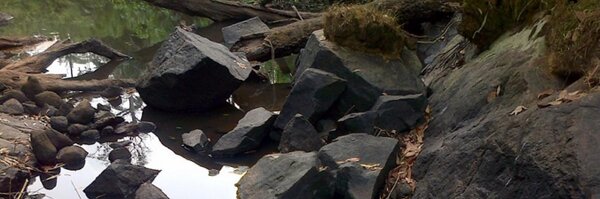 Manekang Profile Banner