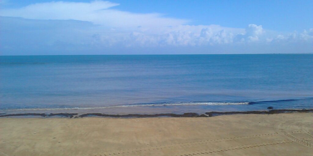 Cardiagar's profile banner image
