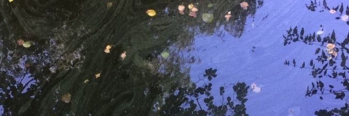 hansoheejkt's profile banner image