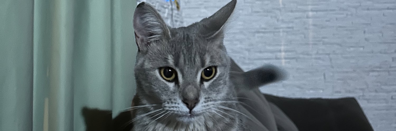 aaxlgallardo's profile banner image