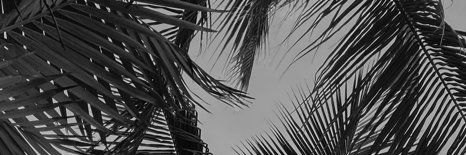𝕽$𝕮🐉 banner