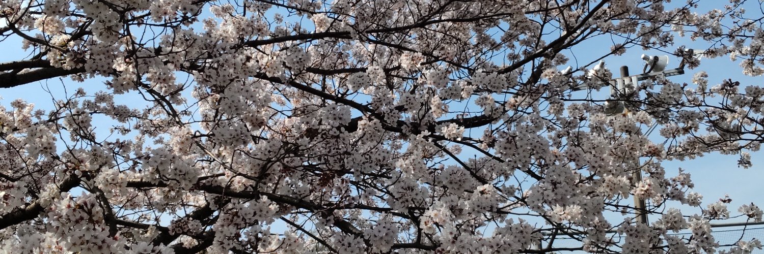 karen_muse's profile banner image