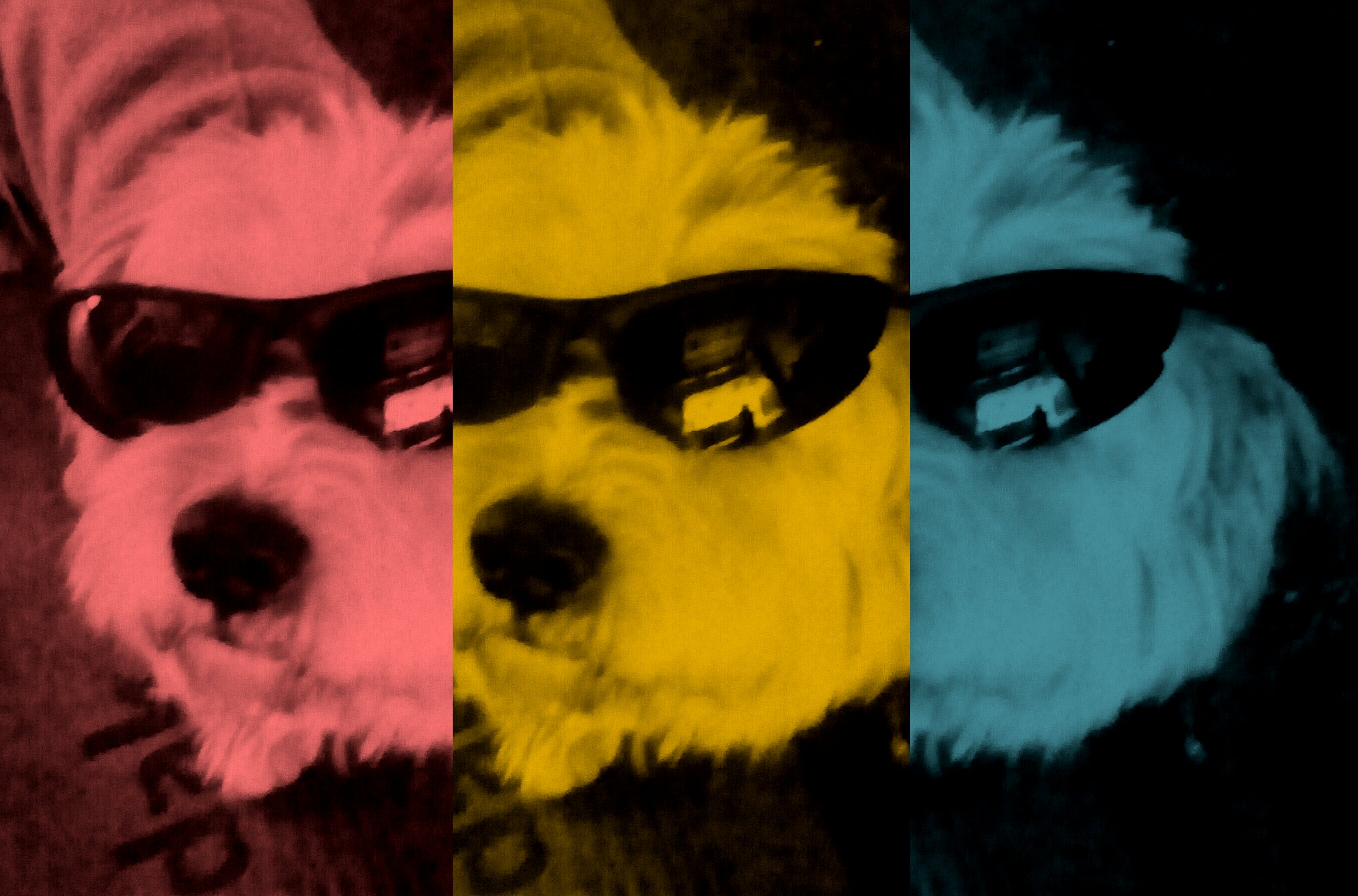 dannys_curls's profile banner image
